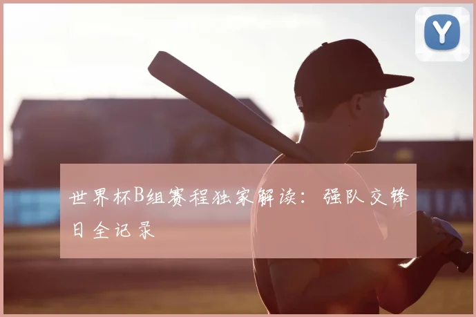 世界杯B组赛程独家解读:强队交锋日全记录