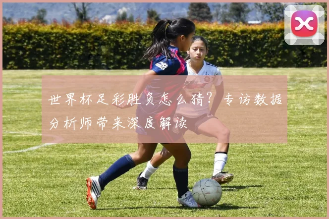 世界杯足彩胜负怎么猜?专访数据分析师带来深度解读