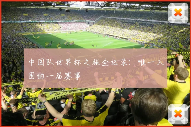 中国队世界杯之旅全记录：唯一入围的一届赛事